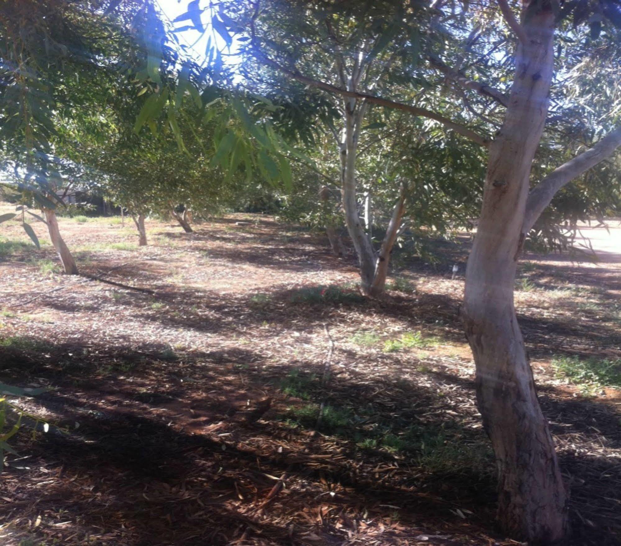 מלון William Creek Camp Ground & Units מראה חיצוני תמונה